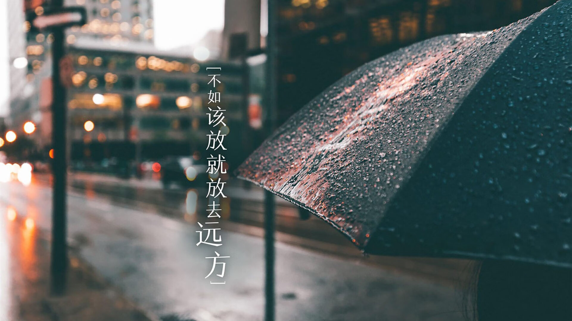 世界越野跑锦标赛，荒野中的速度较量，世界越野锦标赛冠军
