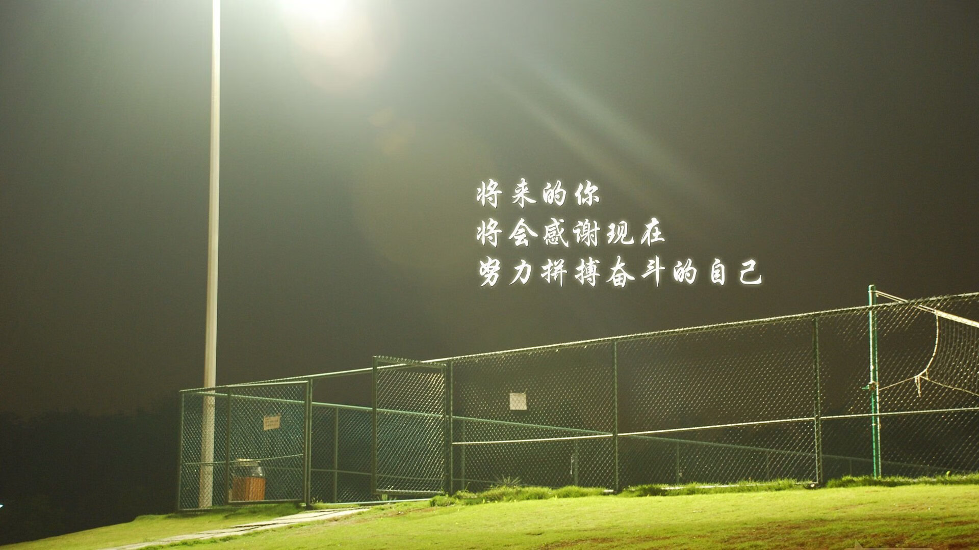 数字化赛场：虚拟现实与AI的结合，数字化虚拟人体的研究与进展