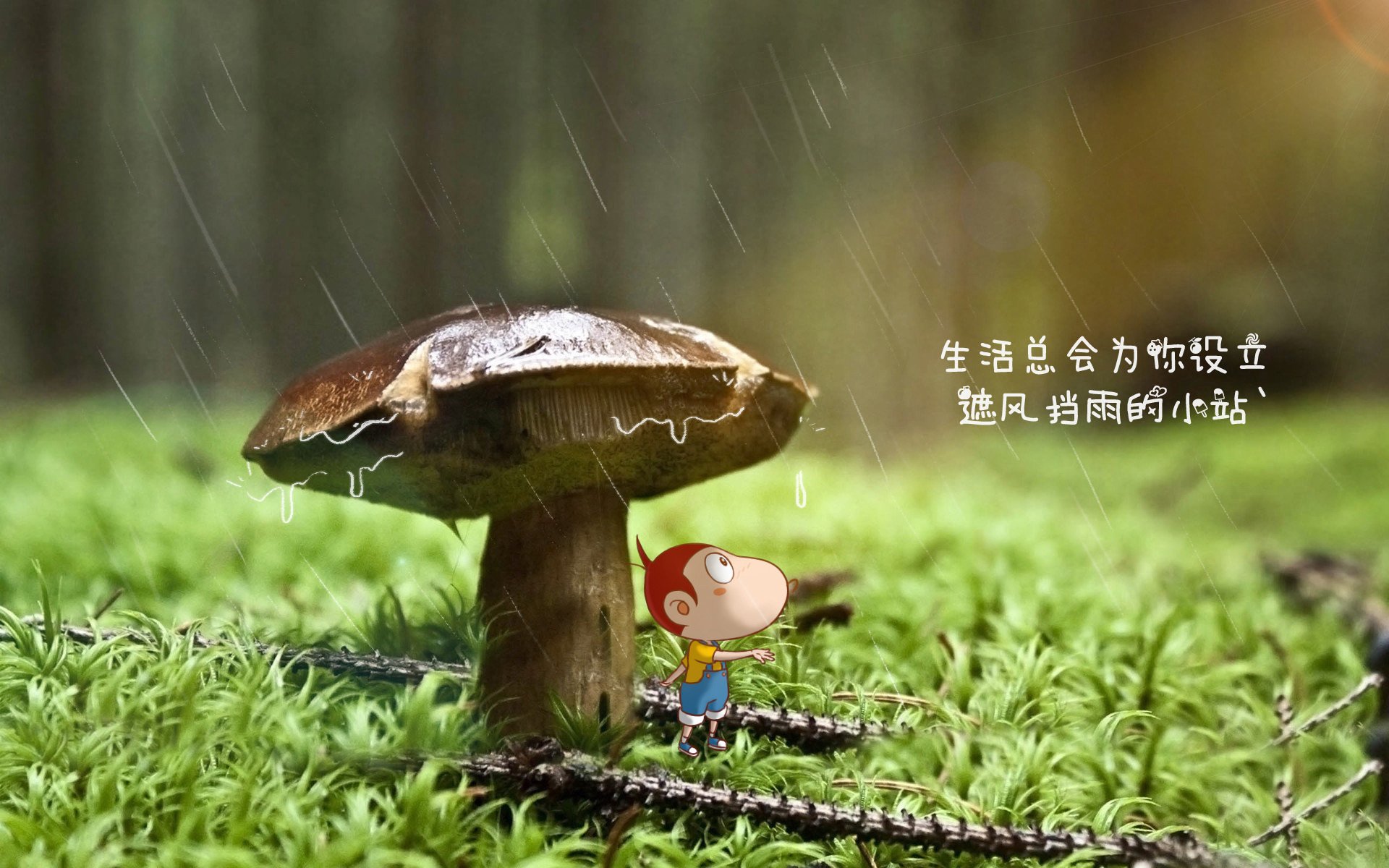 九游娱乐(jiuyou)官方网站-青少年足球裁判员能力提升工程持续推进，行业标准加快落地，青少年足球运动员选材测试项目