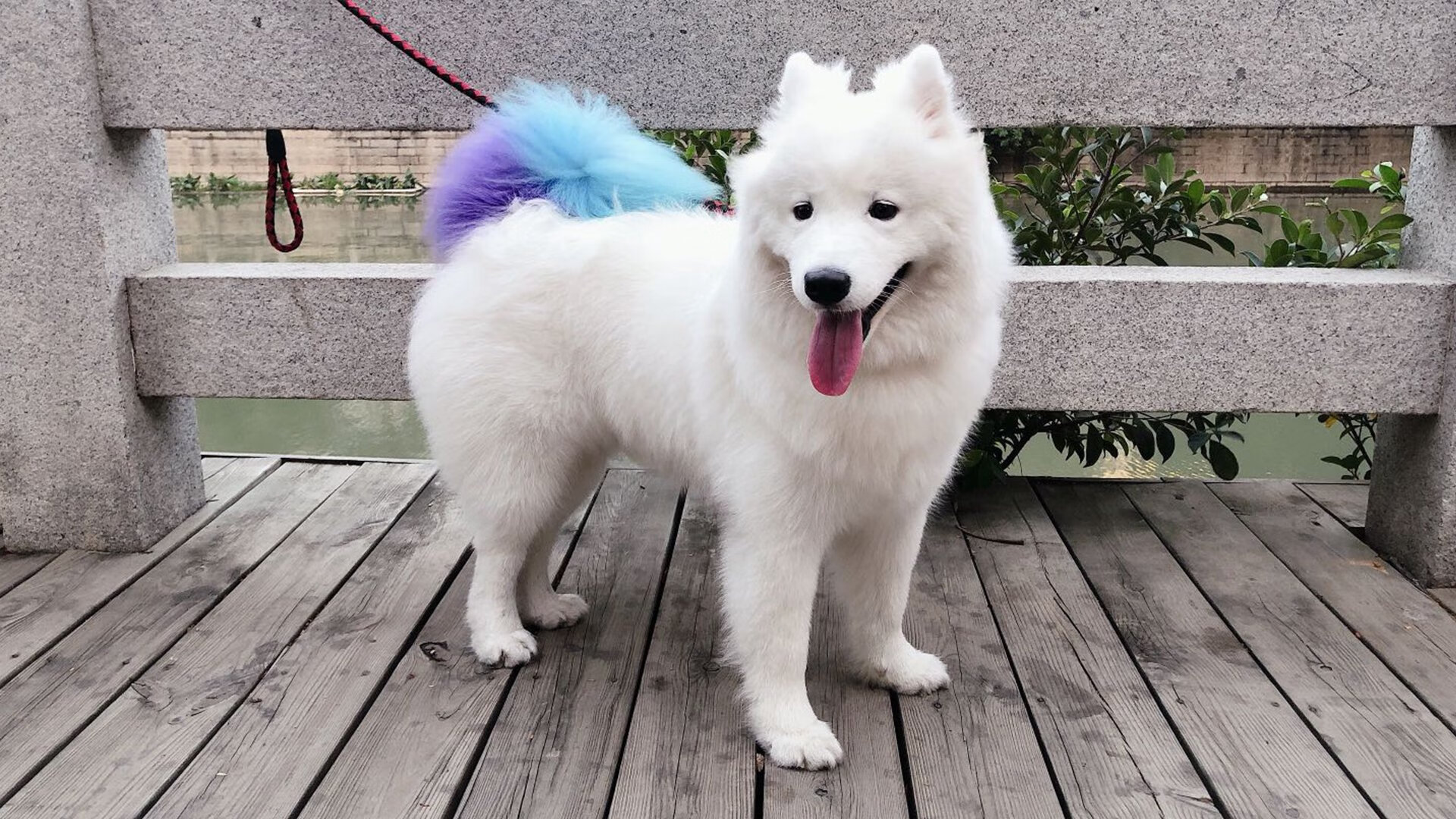 高校体育教师信息技术应用培训模式，高校体育教师信息技术应用培训模式有哪些