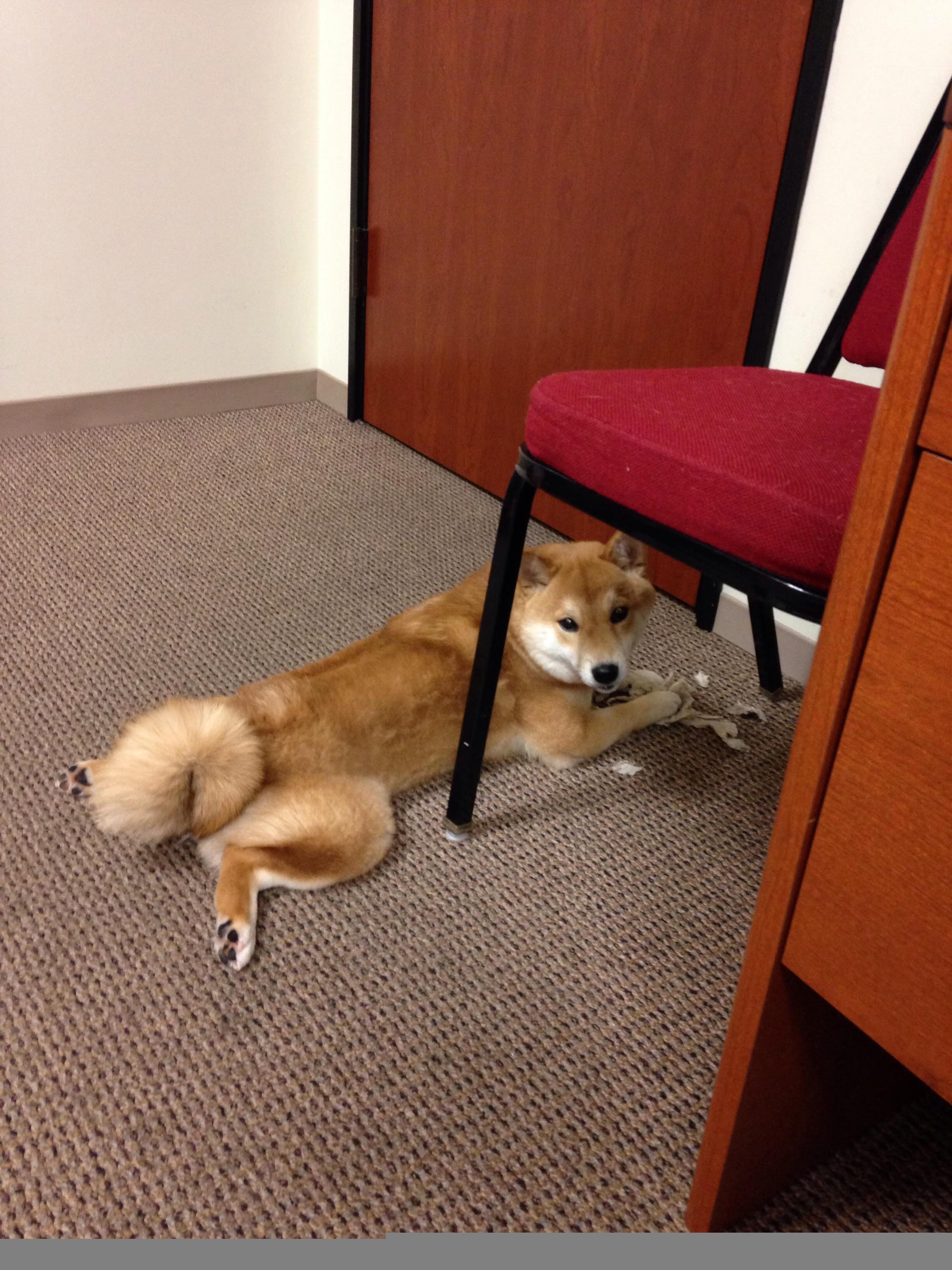 亚冠联赛中国队逆袭 球迷现场气氛热烈，亚冠的中国球队