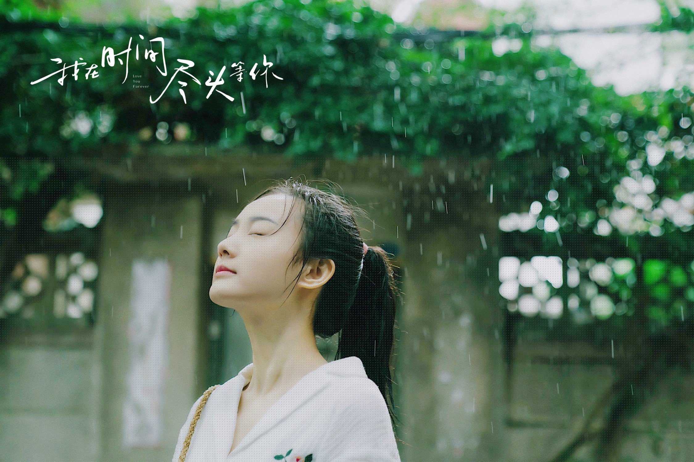 九游电脑版-世界杯赛场的环保可持续措施，世界杯环保基金