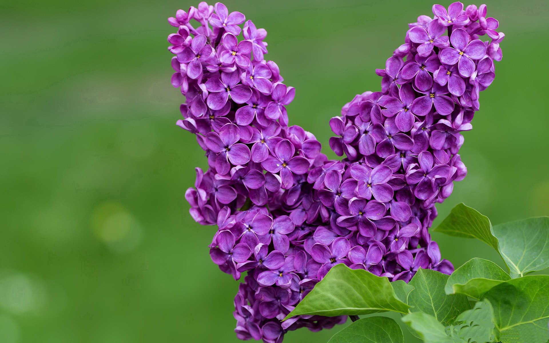 九游登录中心-中国足球联赛建立青训球员发展大数据档案，我国足球青训发展现状