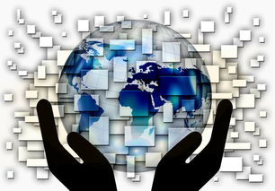 Jiu You-国家滑板协会公布全国青少年排名更新机制，国家滑板队训练中心